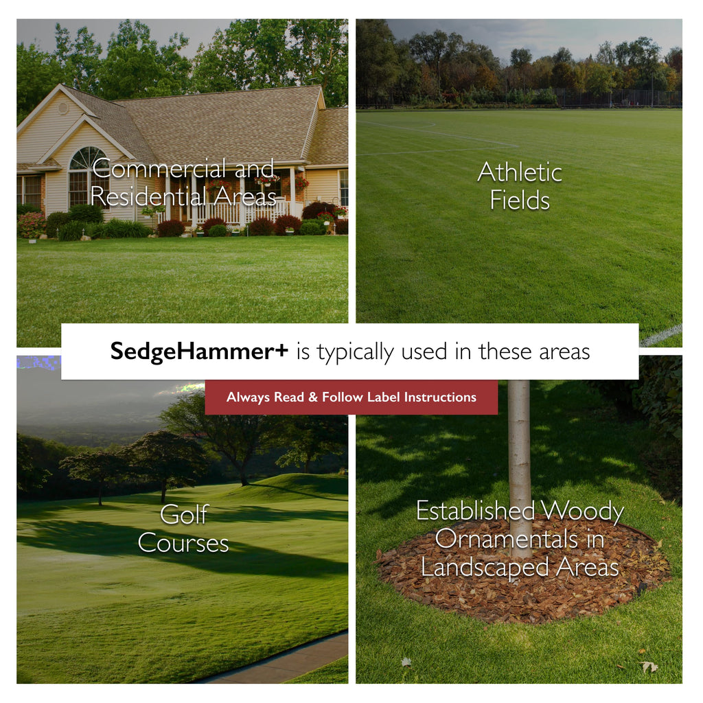 Sedgehammer Plus Turf Solution, 13.5 Grams, Nutsedge Control