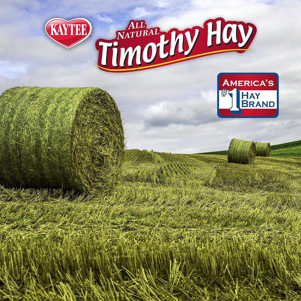 Buy now Kaytee Timothy Hay Blend Cubes for Pet Rabbits, Guinea Pigs, Chinchillas, and Other Small Animals, 1 Pound at indiglob india