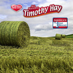 Buy now Kaytee Timothy Hay Blend Cubes for Pet Rabbits, Guinea Pigs, Chinchillas, and Other Small Animals, 1 Pound at indiglob india