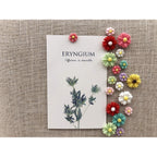 Temoyj Decorative Thumb Tacks 24 Pcs Colorful Cute Pushpins for CorkBoard,Feature Wall, Office Organization or Home¡­ (Butterfly)