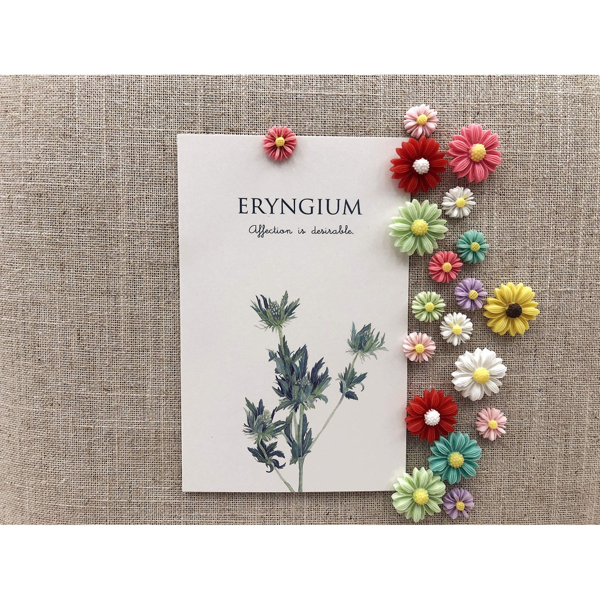 Temoyj Decorative Thumb Tacks 24 Pcs Colorful Cute Pushpins for CorkBoard,Feature Wall, Office Organization or Home¡­ (Butterfly)