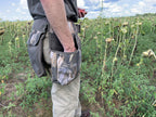 Dove, Field and Game Belt, Adjustable, Camo