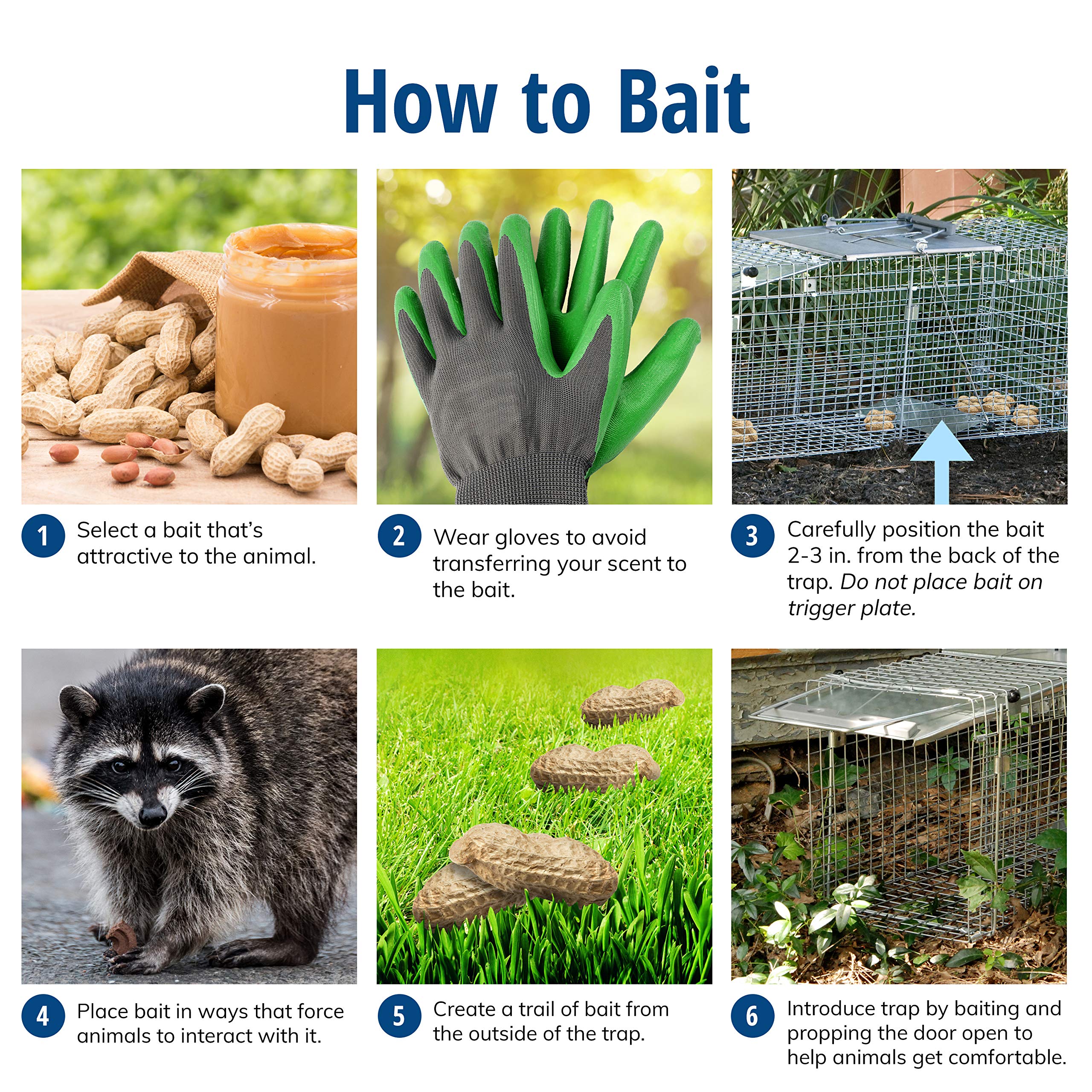 Buy now Havahart Large 2 Door Humane Catch and Release Live Animal Trap for Armadillos, Beavers, Bobcats, Small Dogs, Cats, Foxes, Groundhogs, Nutria, Opossums, Raccoons, Live Catch Trap for Stray Dogs 1045SR at indiglob india