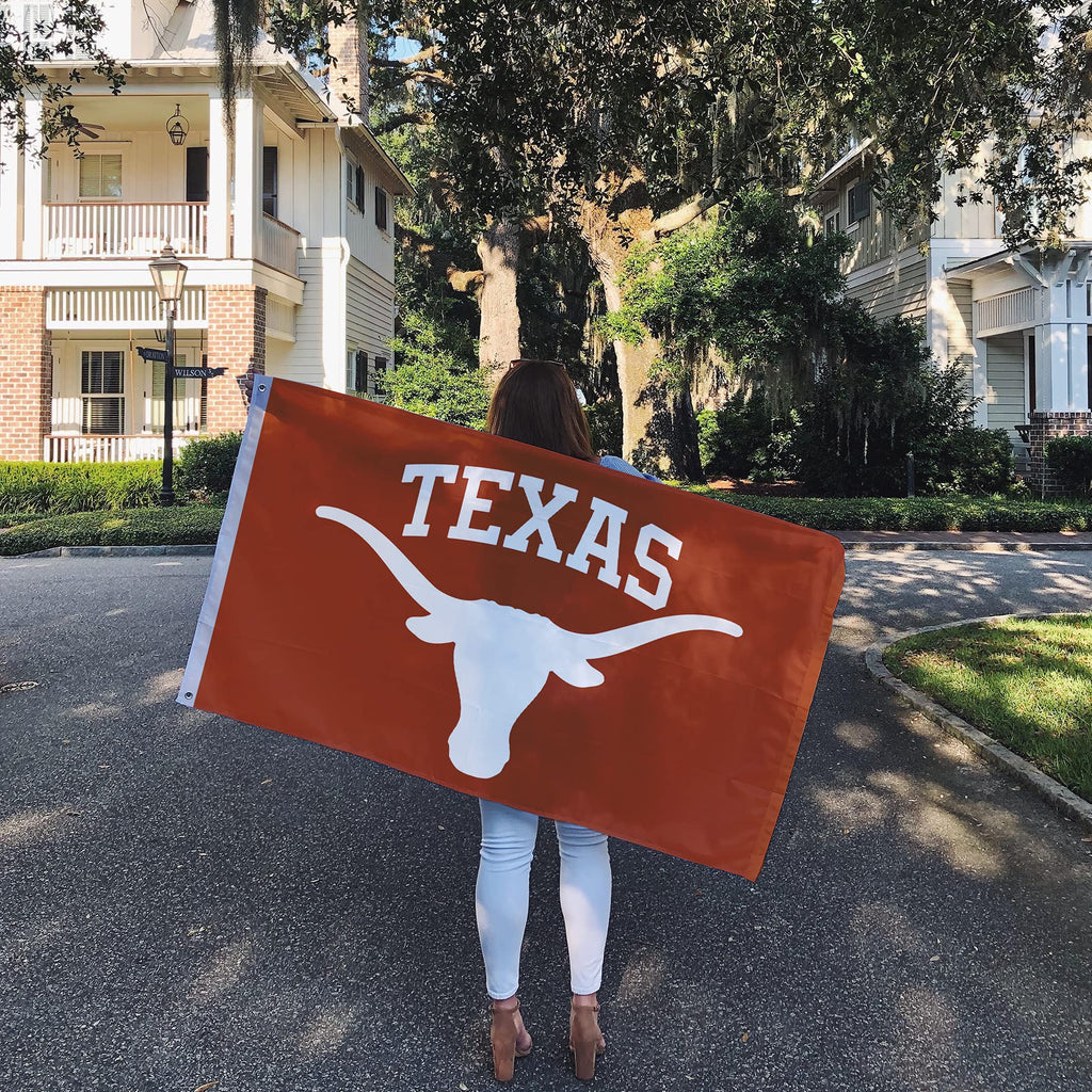 Desert Cactus University of Texas Austin Longhorns Flag 3x5 Outdoor (#4)