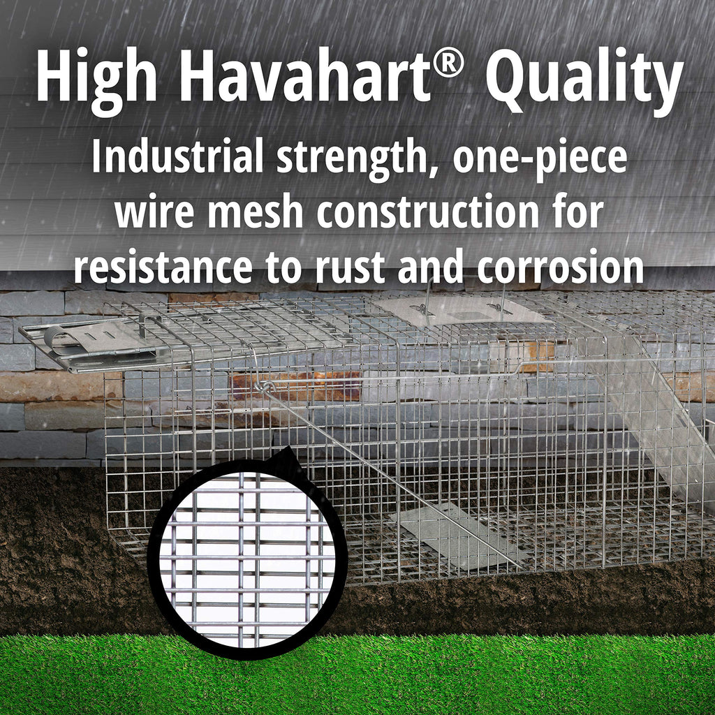 Buy now Havahart Large 2 Door Humane Catch and Release Live Animal Trap for Armadillos, Beavers, Bobcats, Small Dogs, Cats, Foxes, Groundhogs, Nutria, Opossums, Raccoons, Live Catch Trap for Stray Dogs 1045SR at indiglob india