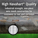Buy now Havahart Large 2 Door Humane Catch and Release Live Animal Trap for Armadillos, Beavers, Bobcats, Small Dogs, Cats, Foxes, Groundhogs, Nutria, Opossums, Raccoons, Live Catch Trap for Stray Dogs 1045SR at indiglob india