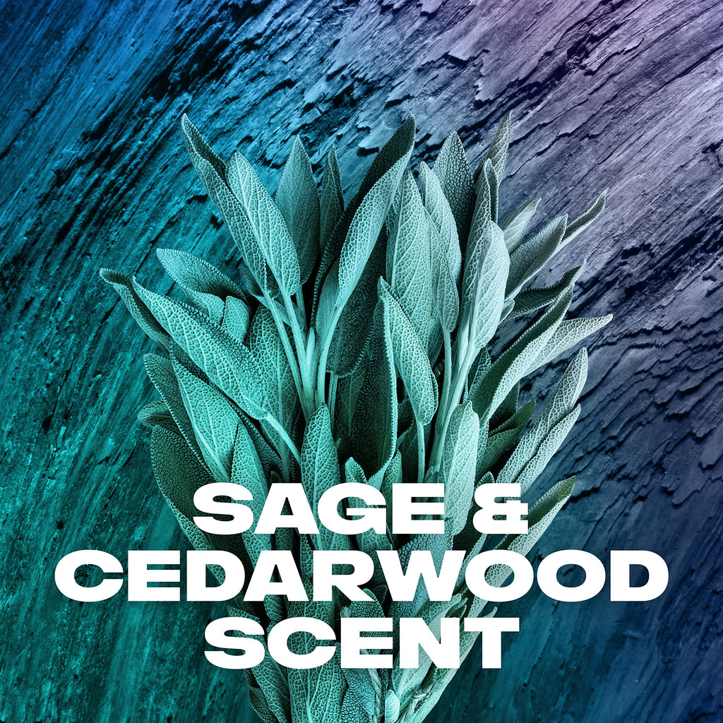 AXE Sage & Cedarwood Body Wash Apollo 4 Count 16 fl oz | For Long Lasting Freshness Men's Body Wash with Odor-Busting Prebiotics