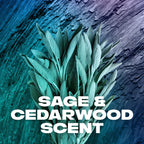 AXE Sage & Cedarwood Body Wash Apollo 4 Count 16 fl oz | For Long Lasting Freshness Men's Body Wash with Odor-Busting Prebiotics