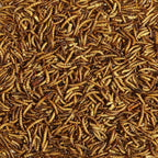 Buy now Kaytee Wild Bird Food Mealworms For Bluebirds, Wrens, Robins, Chickadees, Woodpeckers, Cardinals & Chickens, 3.5 Ounce at indiglob india