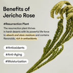 Premium imported Abib PDRN Vegan Collagen Lip Mask Glazed, enriched with Jericho Rose for hydration and antioxidants.