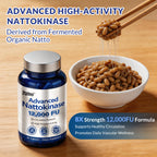 Advanced Nattokinase Serrapeptase Lumbrokinase in high-quality packaging, supports circulation and vascular wellness, available at Curat Cart.