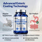 Advanced Nattokinase Serrapeptase Lumbrokinase enhances circulation support. Perfect for daily use. Available at Curat Cart.
