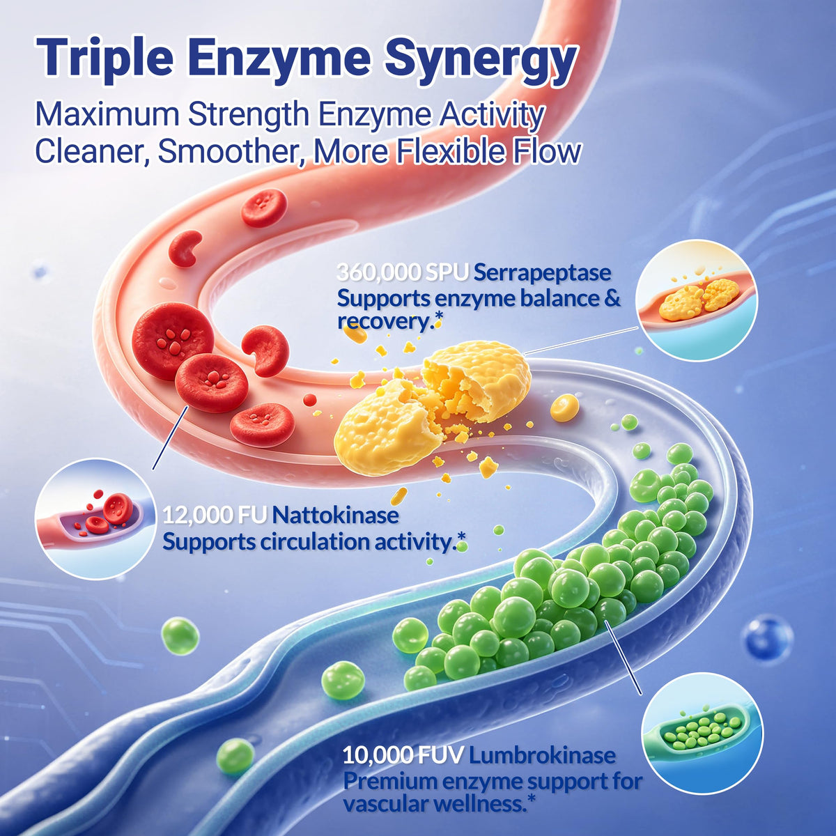 Advanced Nattokinase Serrapeptase Lumbrokinase promotes enzyme balance and circulation. 100% Authentic, available at Curat Cart.