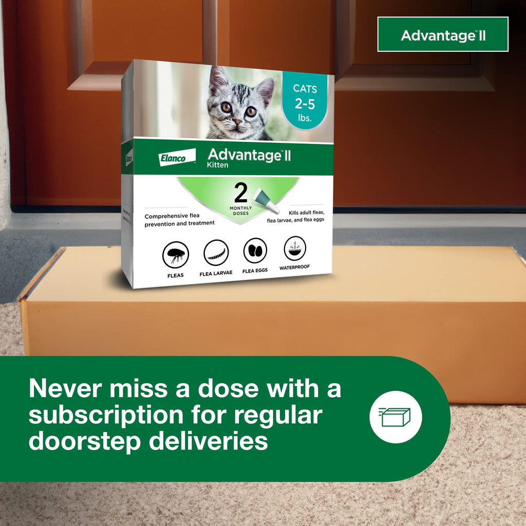 Advantage II Kitten Flea Treatment, 100% Authentic and available in India at Curat Cart, ensures effective flea control for kittens.
