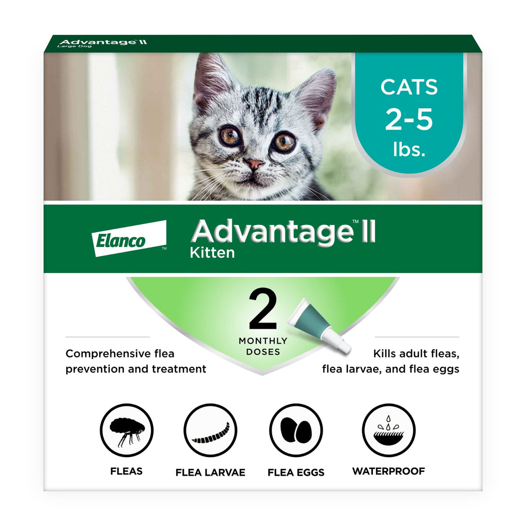 Advantage II Kitten Flea Treatment offers premium imported flea control for cats 2-5 lbs. Available at Curat Cart.