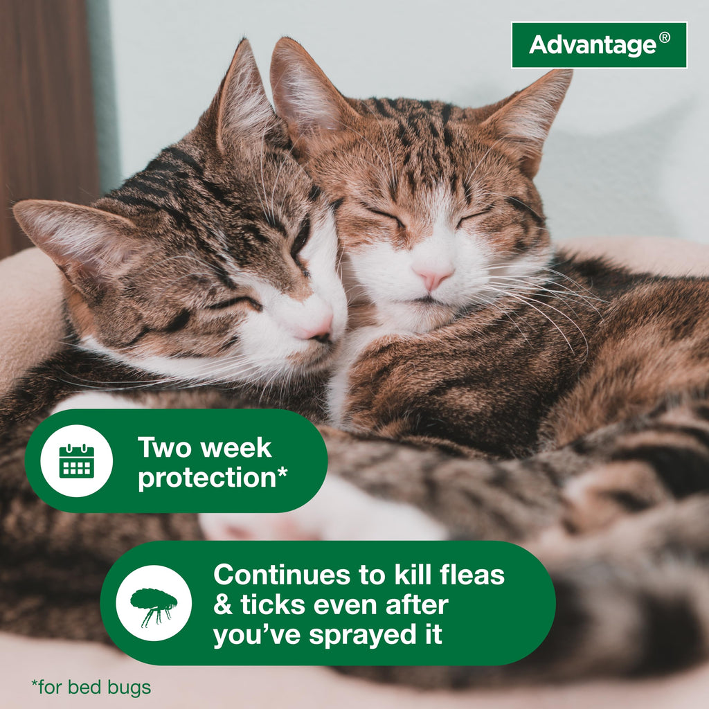 Advantage Spot & Crevice Spray offers premium import protection against fleas and ticks for your pets. Available at Curat Cart.