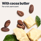 Discover Amazon Essentials Cocoa Butter Lotion, a premium import from Curat Cart, infused with rich cocoa butter for a luxurious experience.