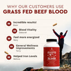 Ancestral Supplements Blood Health, a premium import, supports energy and wellness. Available at Curat Cart.