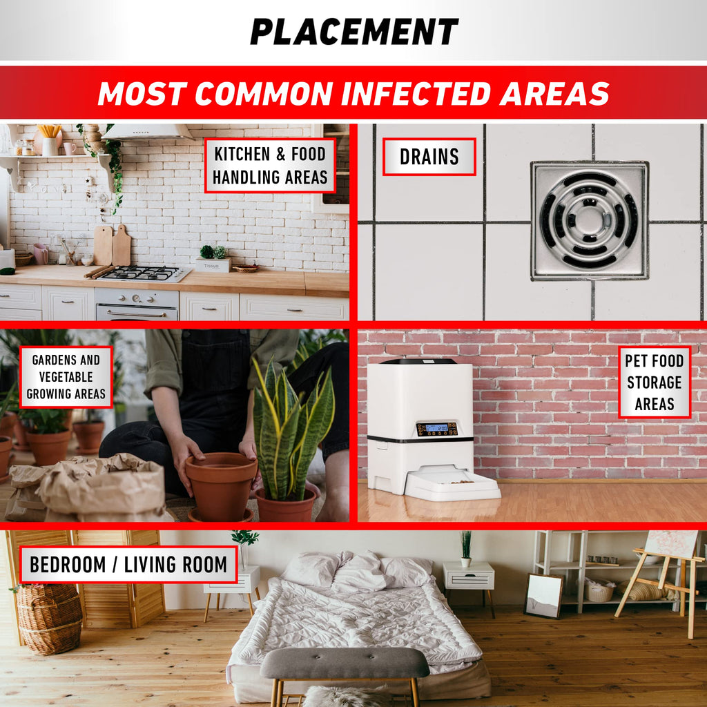 Explore the best placement for Ortho Ant Traps Indoor, ideal for kitchens and living areas. Purchase now at Curat Cart.