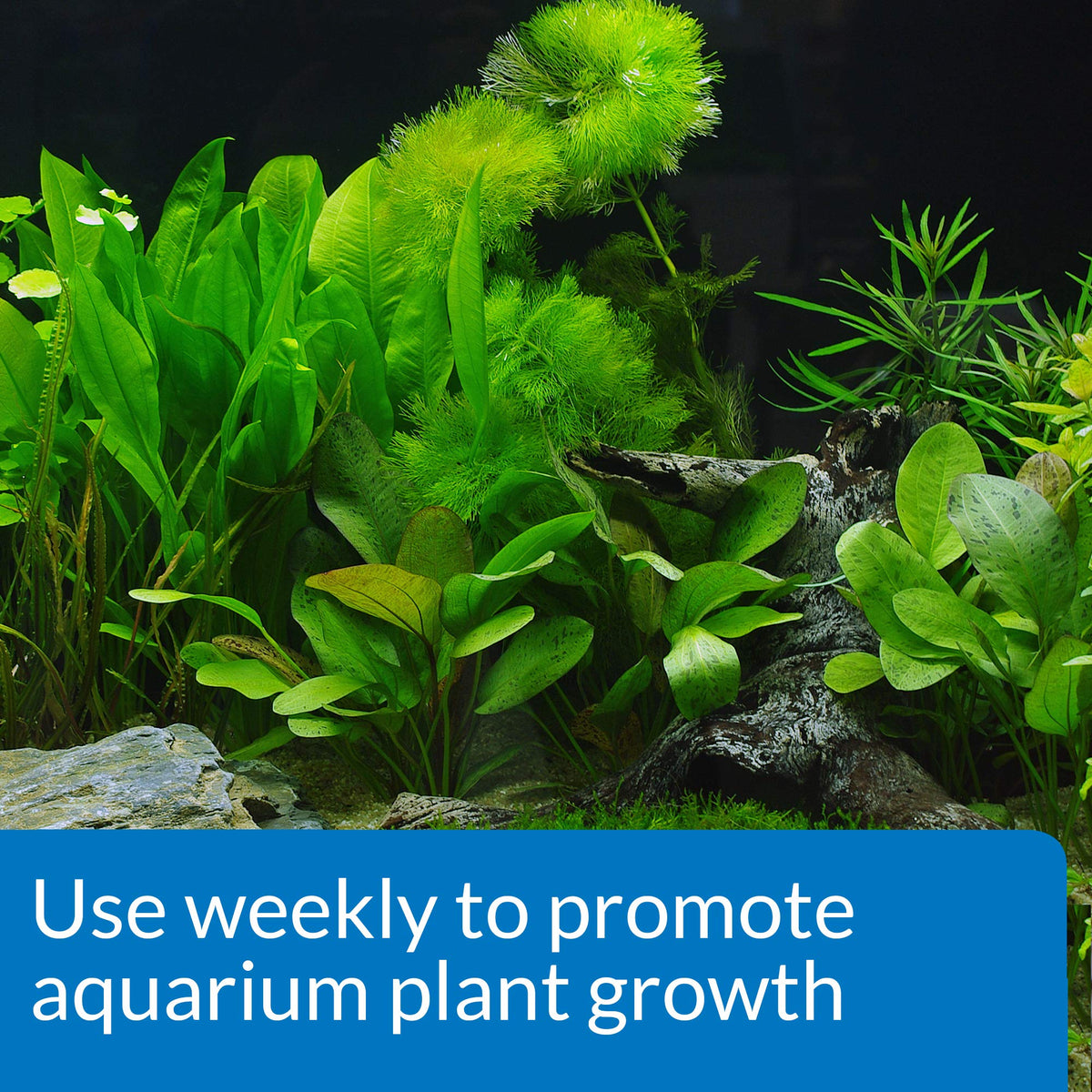 API Leaf Zone Freshwater Fertilizer enhances aquarium plant growth. 100% Authentic, available at Curat Cart in India.