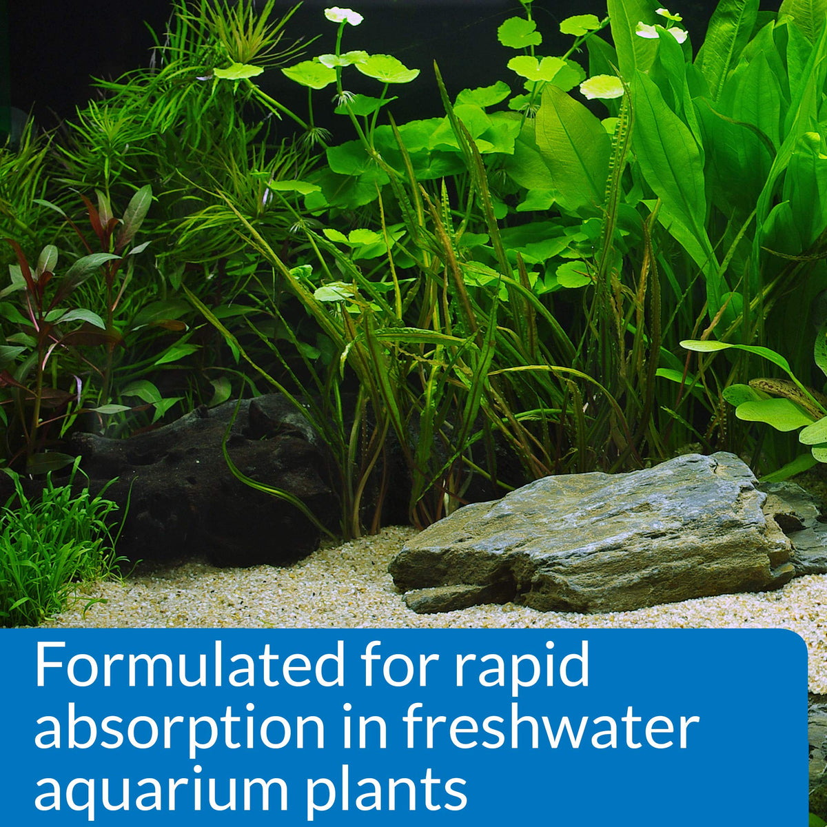Enhance your aquarium with API Leaf Zone Freshwater Fertilizer, perfect for vibrant plant growth. Available at Curat Cart.