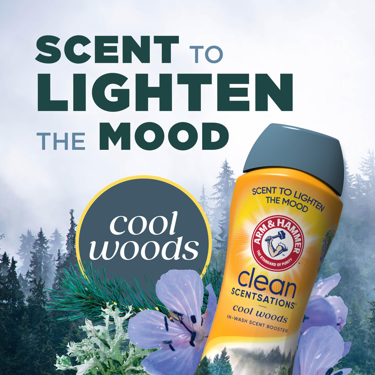 Discover the exclusive ARM & HAMMER Laundry Scent Booster in Cool Woods, specially curated by Curat Cart for a refreshing laundry experience.
