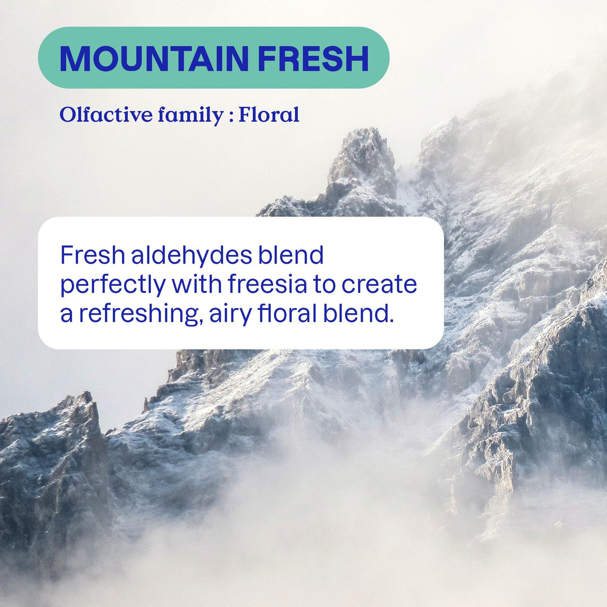 Discover the exclusive ATTITUDE Liquid Laundry Detergent from Curat Cart, featuring a refreshing Mountain Fresh scent with floral notes.