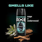 AXE Body Spray Apollo Fresh offers a premium imported scent blend of sage and cedarwood, available at Curat Cart.