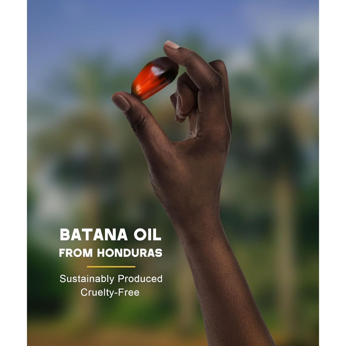 Discover Batana Oil from Honduras, sustainably produced and cruelty-free, perfect for promoting hair growth.