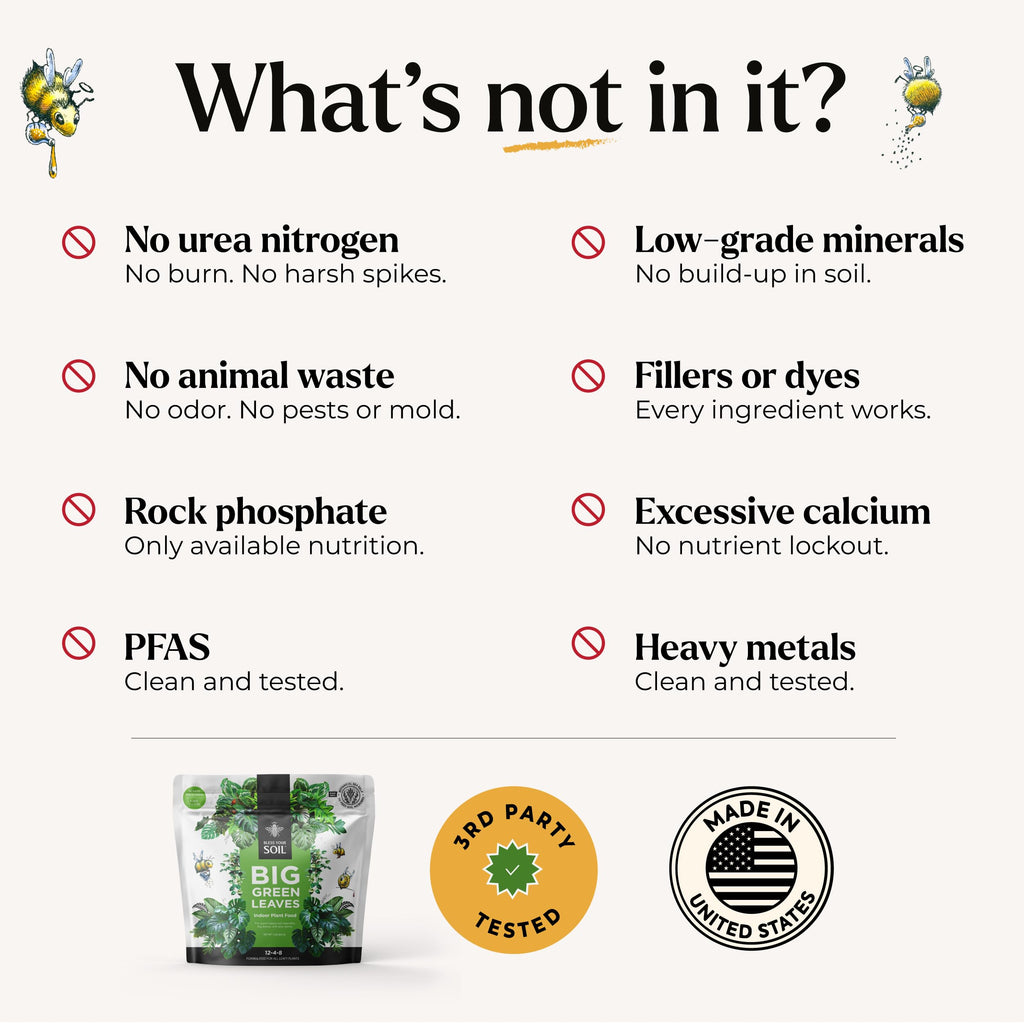 Big Green Leaves Indoor Plant Food ensures no harmful chemicals, 100% authentic, available in India at Curat Cart.