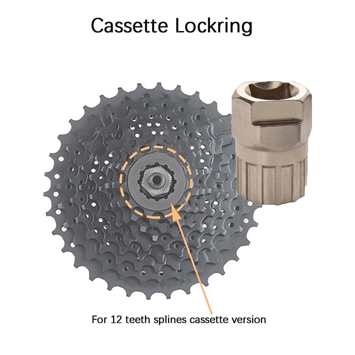 Premium imported bike freewheel removal tool designed for 12 teeth splines, available at Curat Cart.