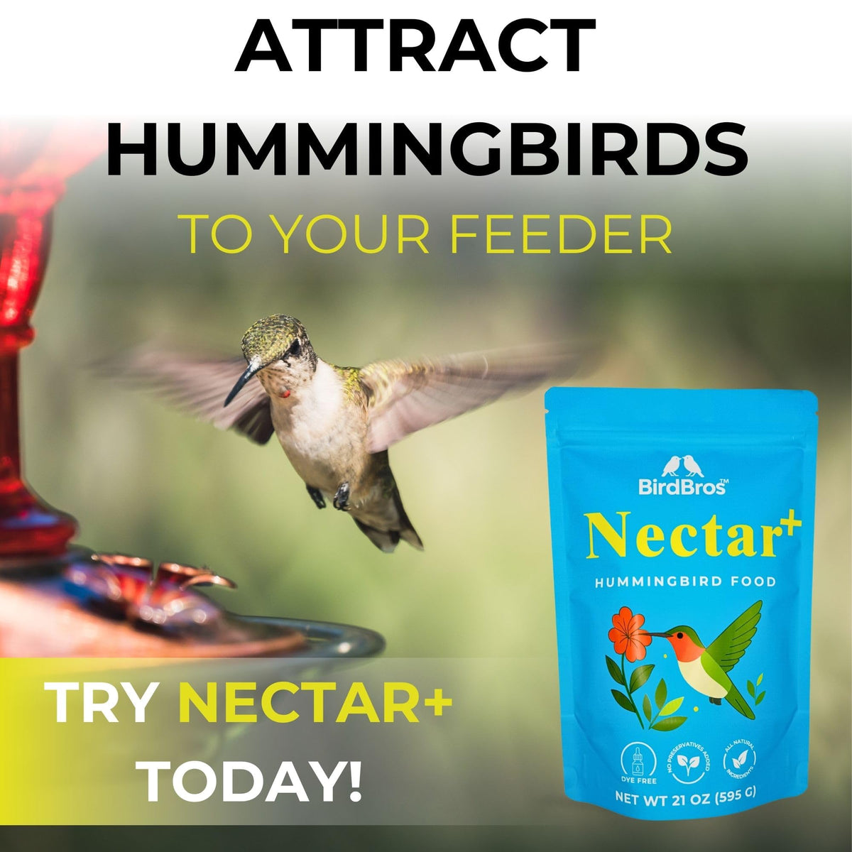 Attract hummingbirds with BirdBros Hummingbird Nectar Powder, 100% Authentic and available at Curat Cart in India.
