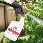 Bonide Captain Jack's Lanternfly Eliminator in high-quality packaging, effectively combating pests. Available at Curat Cart.
