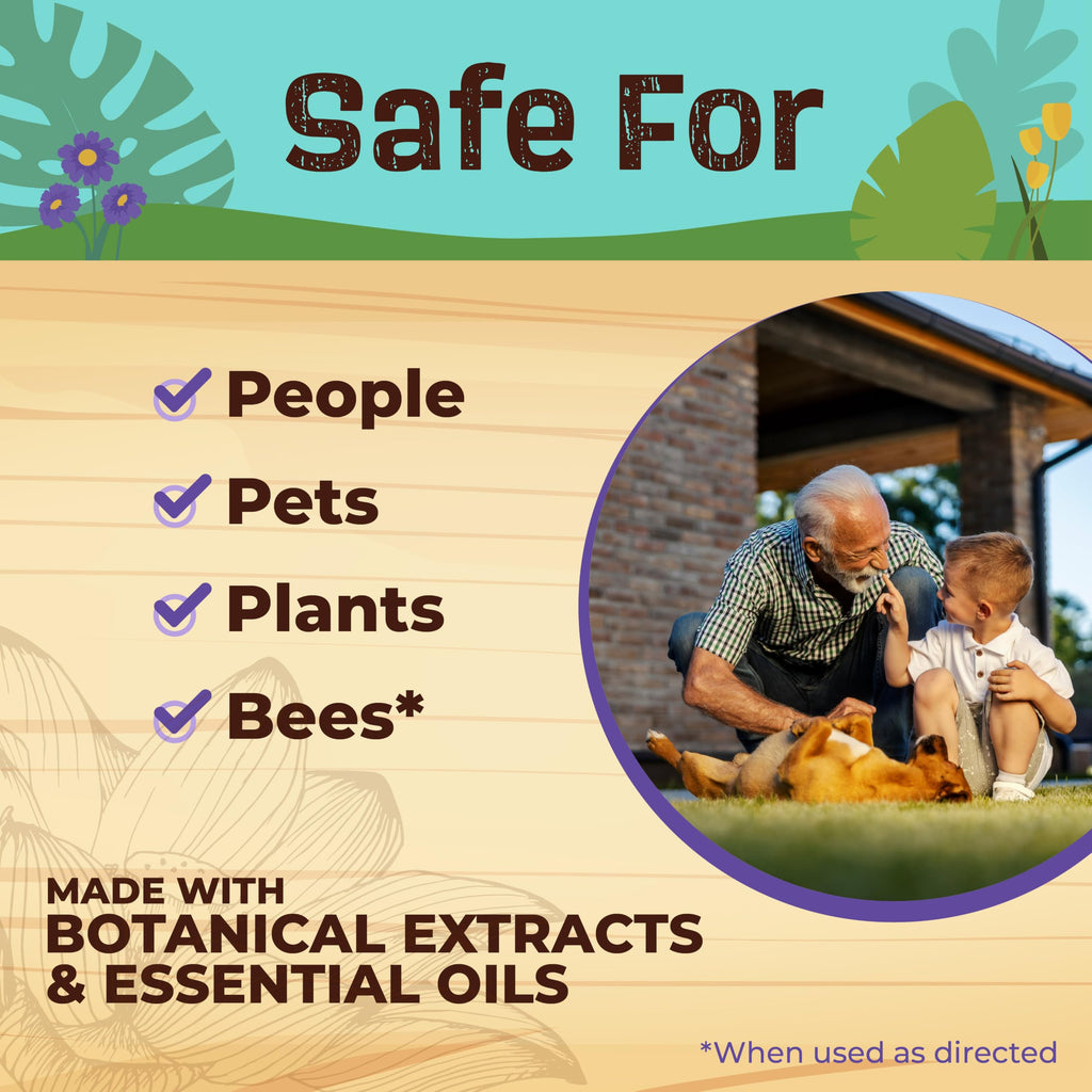Bonide Captain Jack's Lanternfly Eliminator is safe for people, pets, plants, and bees. 100% Authentic, available at Curat Cart.