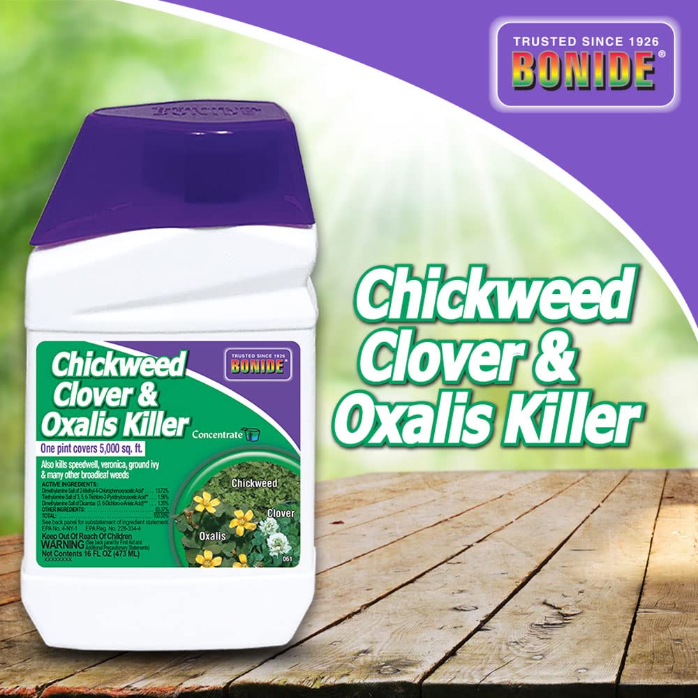 Eliminate stubborn weeds with Bonide Chickweed Clover & Oxalis Killer, perfect for maintaining a pristine lawn. Available at Curat Cart.