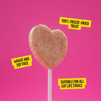 Bonkers Purrpops Cat Treats are 100% freeze-dried, wheat and soy-free, perfect for all cat life stages. Available at Curat Cart.