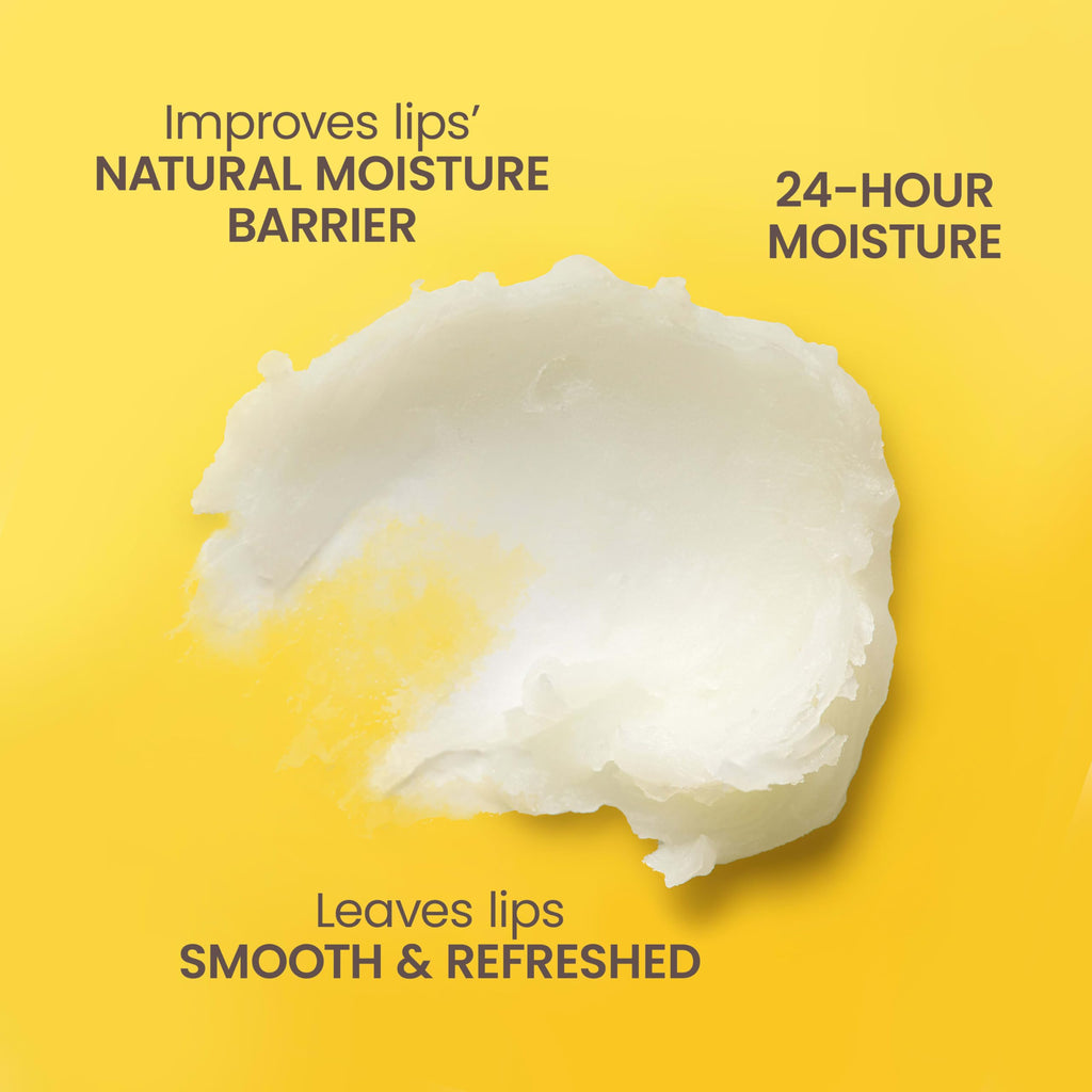 Burt's Bees Garden Party L offers 24-hour moisture for smooth, refreshed lips. Premium natural ingredients for hydration.