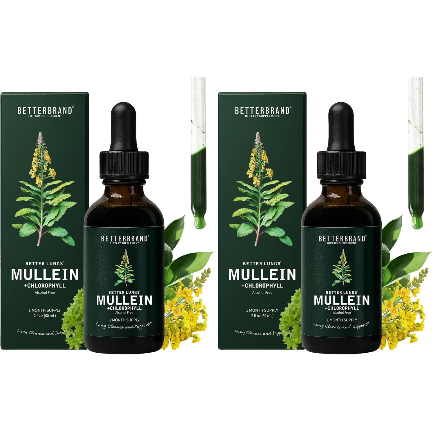 Betterbrand Mullein Drops, Alchohol-Free Lung Detox with Chlorophyll | 30:1 Mullein Leaf Tincture, Lung Cleanse, Long-Term Lung & Respiratory Health, Mullein Drops Supplement, Improved Airflow