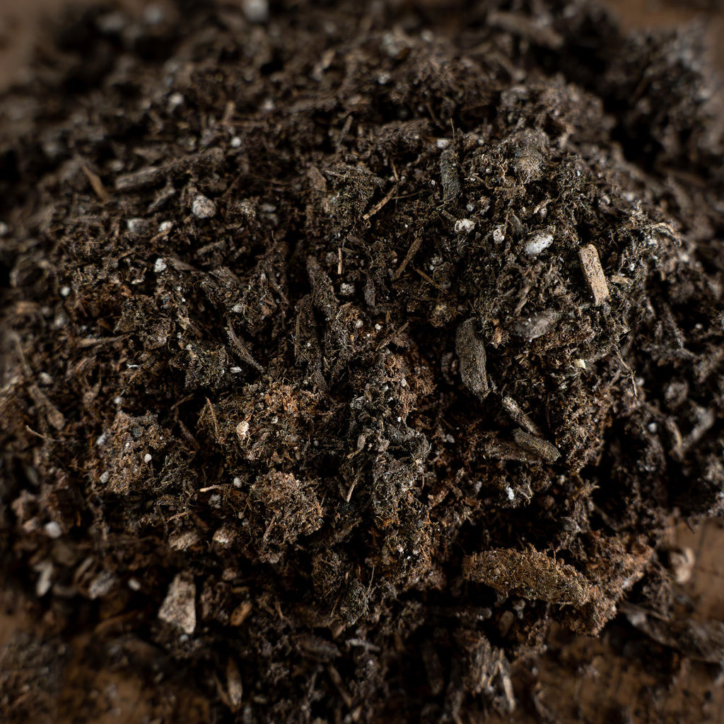 Cactus & Succulent Soil Mix offers premium quality, 100% Authentic, available in India at Curat Cart for healthy plant growth.