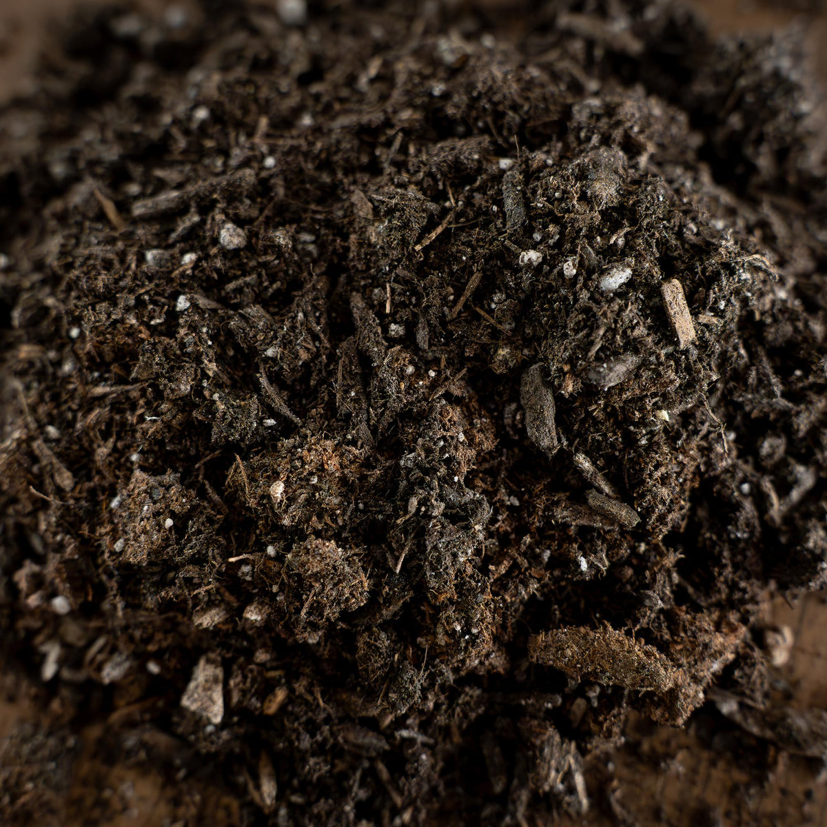 Cactus & Succulent Soil Mix offers premium quality, 100% Authentic, available in India at Curat Cart for healthy plant growth.