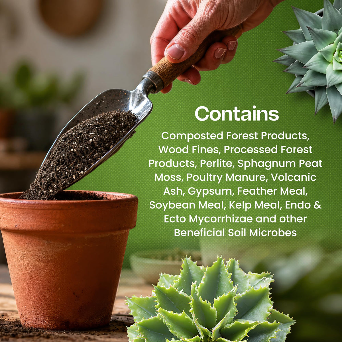 Specially curated by Curat Cart, this Cactus & Succulent Soil Mix contains essential nutrients for healthy plant growth.