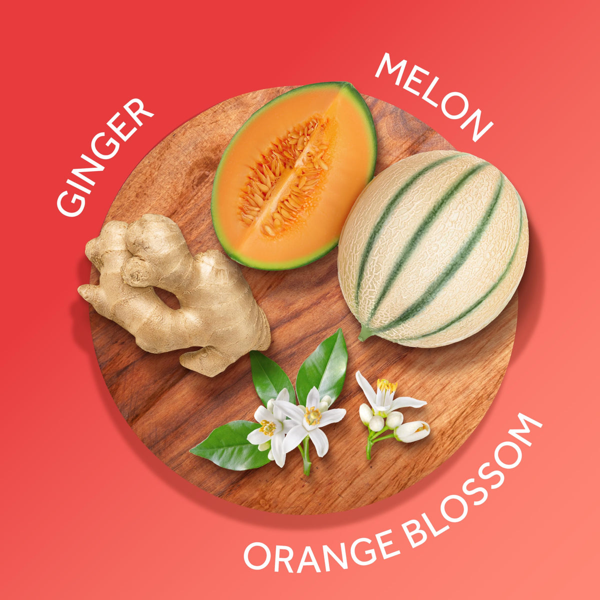 Calgon Morning Glory Body Mist features notes of ginger, melon, and orange blossom. Available for order online.