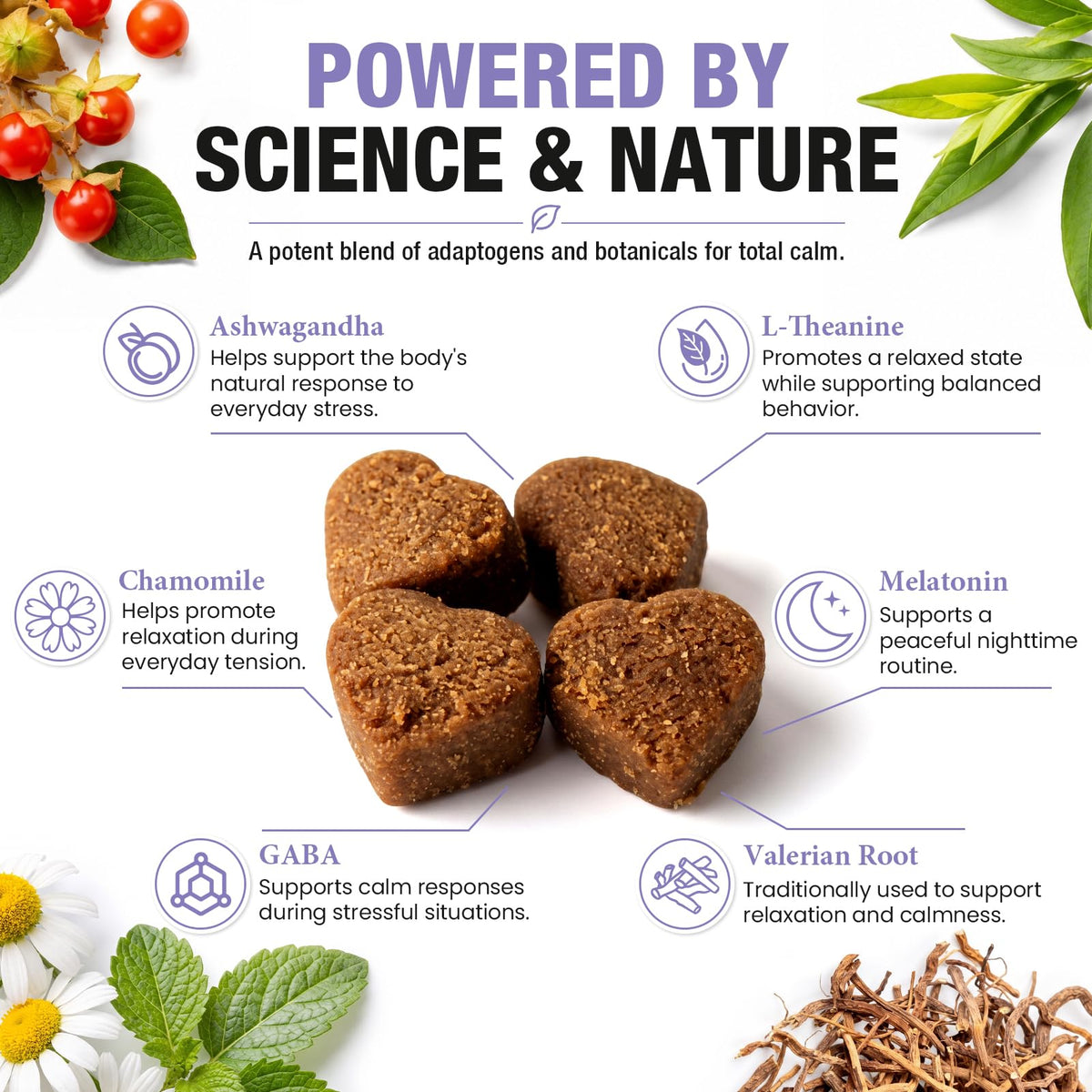 Premium Calming Chews for Dogs featuring adaptogens like Ashwagandha and Melatonin, specially curated by Curat Cart for pet relaxation.