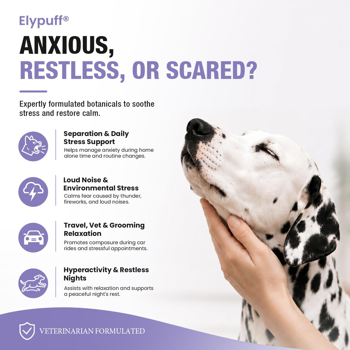 Calming Chews for Dogs in high-quality official packaging, designed to soothe anxiety and restore calm. Available at Curat Cart.