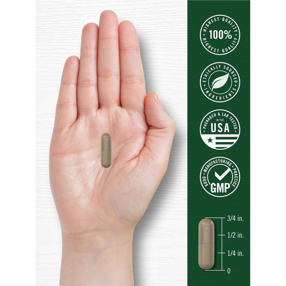 Carlyle Burdock Root Supplement, 100% Authentic, ethically sourced, available at Curat Cart in India. Trust in premium quality.