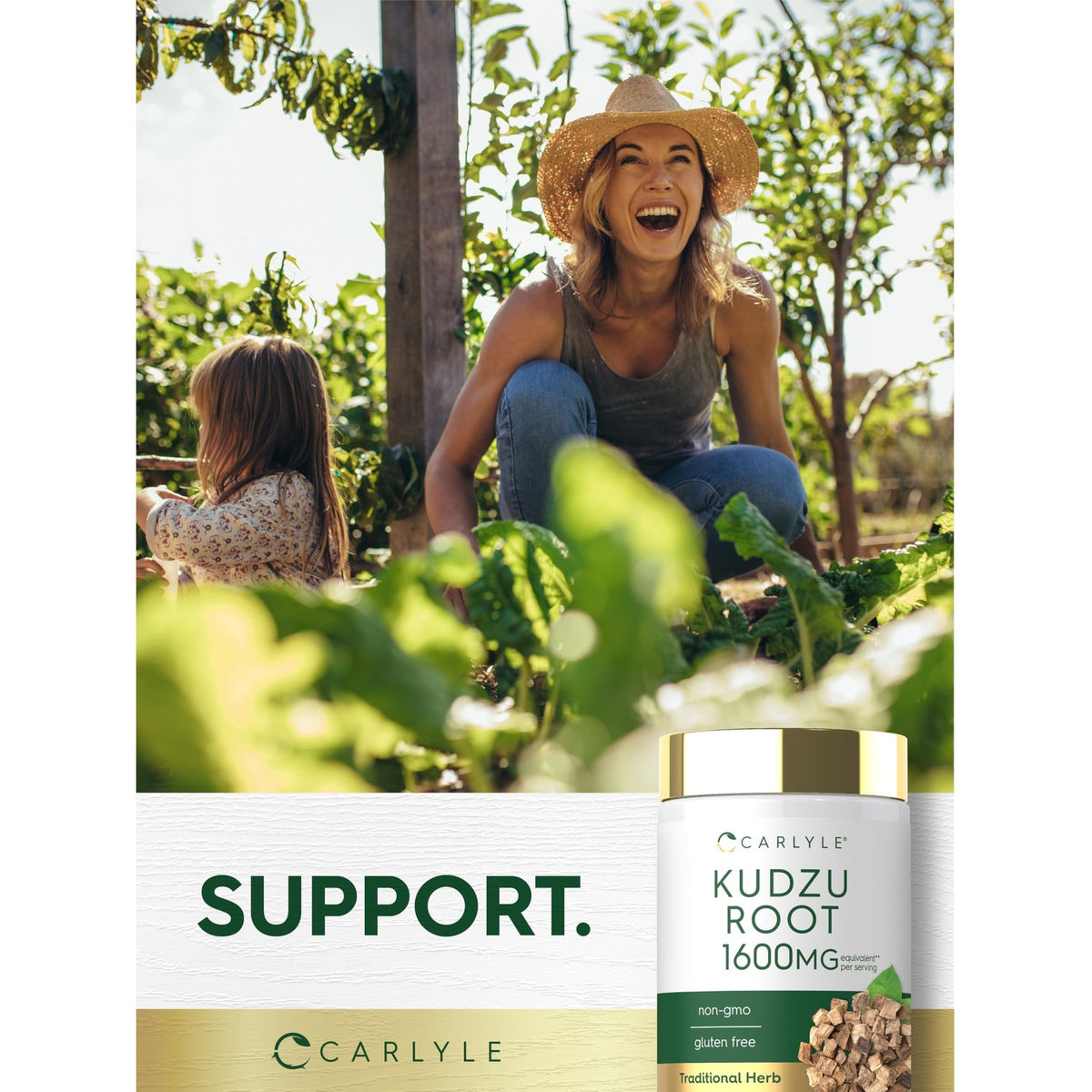 Discover Carlyle Kudzu Root Extract Capsules, a premium imported herbal supplement for wellness, available at Curat Cart.