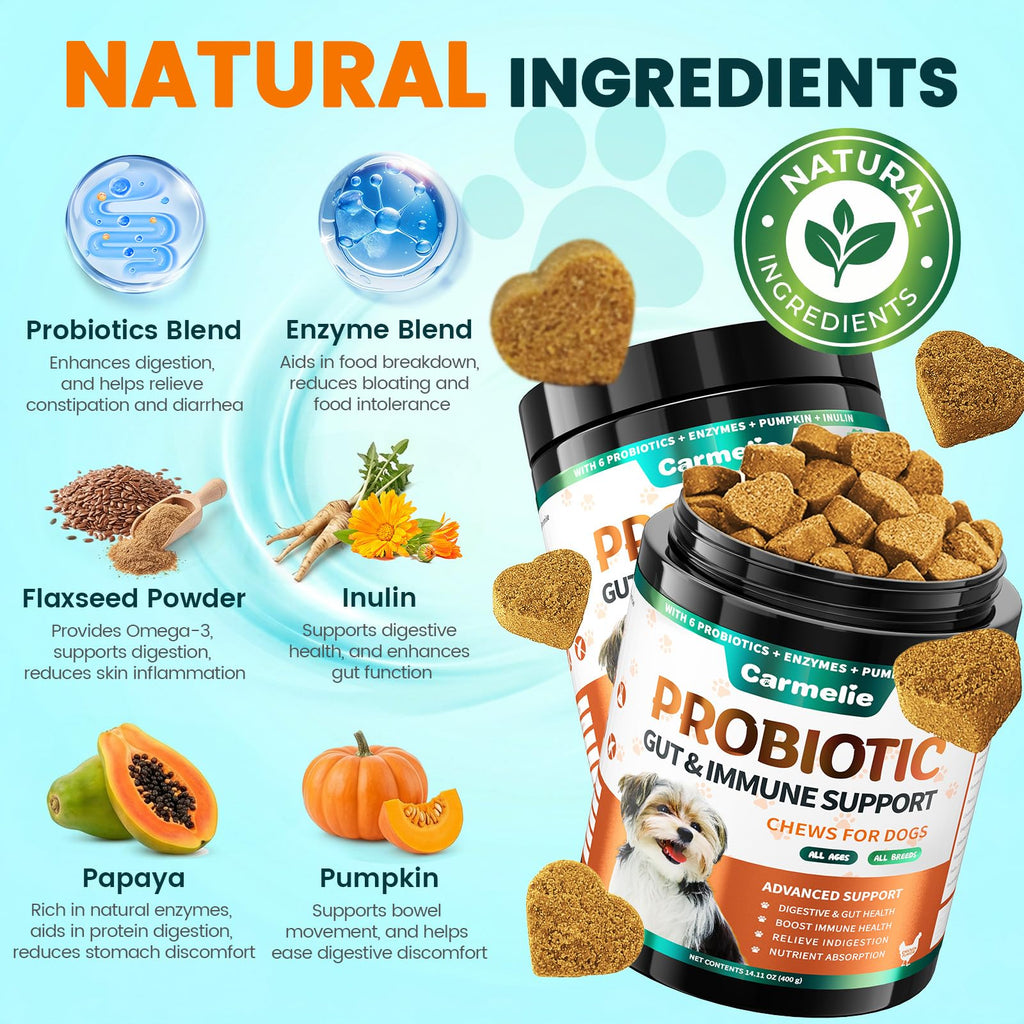Carmelie Probiotics for Dogs in official packaging, featuring natural ingredients for gut and immune support, available at Curat Cart.