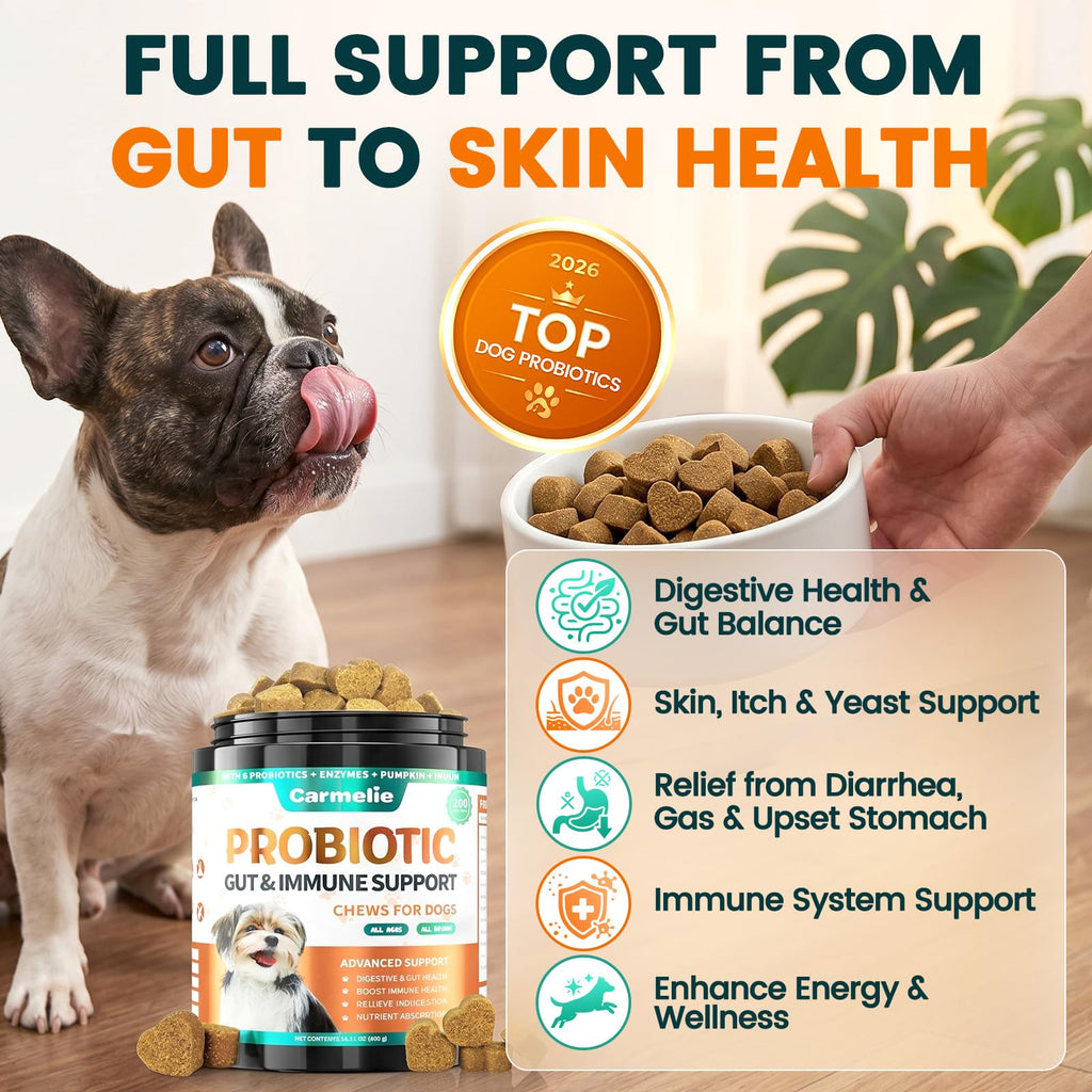 Carmelie Probiotics for Dogs ensures digestive health and immune support. 100% Authentic, available at Curat Cart in India.
