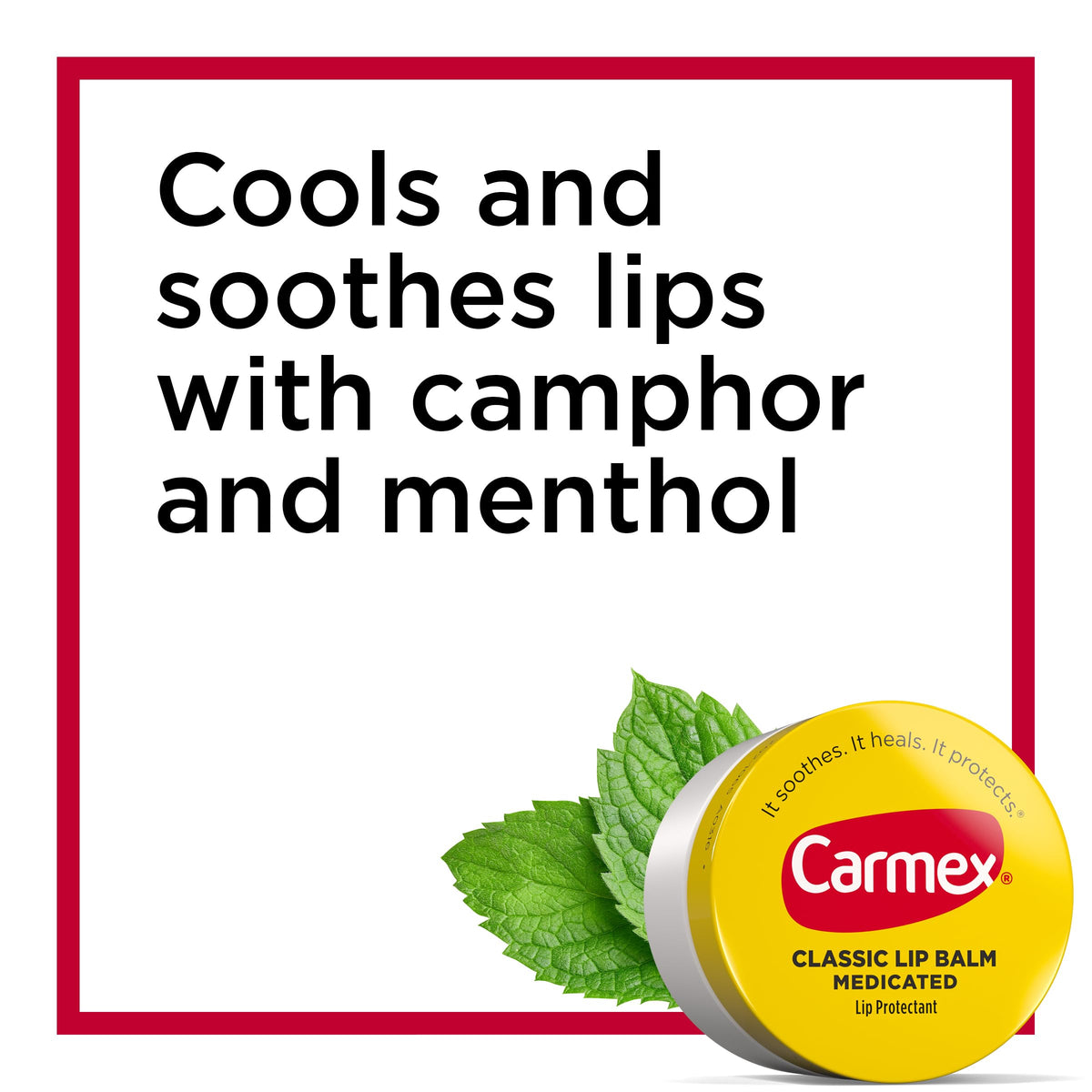 Carmex Medicated Lip Balm in official packaging, cools and soothes lips with camphor and menthol, available at Curat Cart.