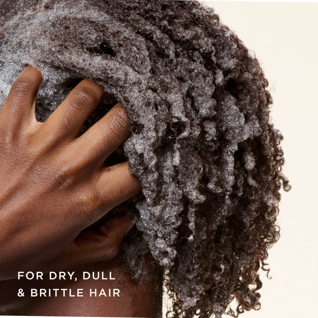 Carol's Daughter Black Vanilla Moisture for dry, dull, and brittle hair. A globally loved formula for revitalizing hydration.